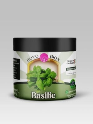 BASILIC
